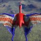 Union Jack Quetzal