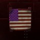 U.S.A Flag Canvas