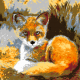 Füchsen [Fox]