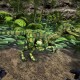Forest Camo Troodon