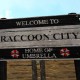 Raccoon City Board