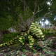 Forest Camo Pachyrhinosaurus