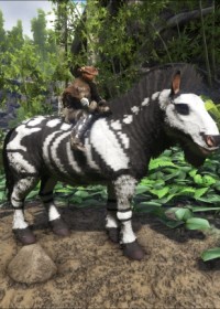Skeletal Horse Equus Ark Paint The Best Paint Ark Warpaint Ark Survival Evolved Skins Paints Warpaints