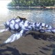 Sea Camo Liopleurodon