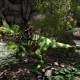 Forest Camo Baryonyx