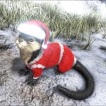 Christmas Otter