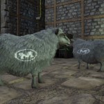 Mutton Sheep Branding