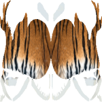 Dung Beetle Tiger