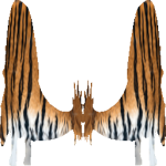 Doedicurus Tiger