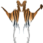 Raptor Tiger