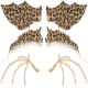 Desmodus – Leopard